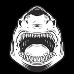ELROND SHARKS logo