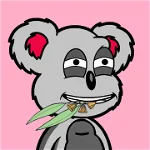 Koala Alliance logo