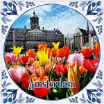 TULIPS FROM AMSTERDAM logo